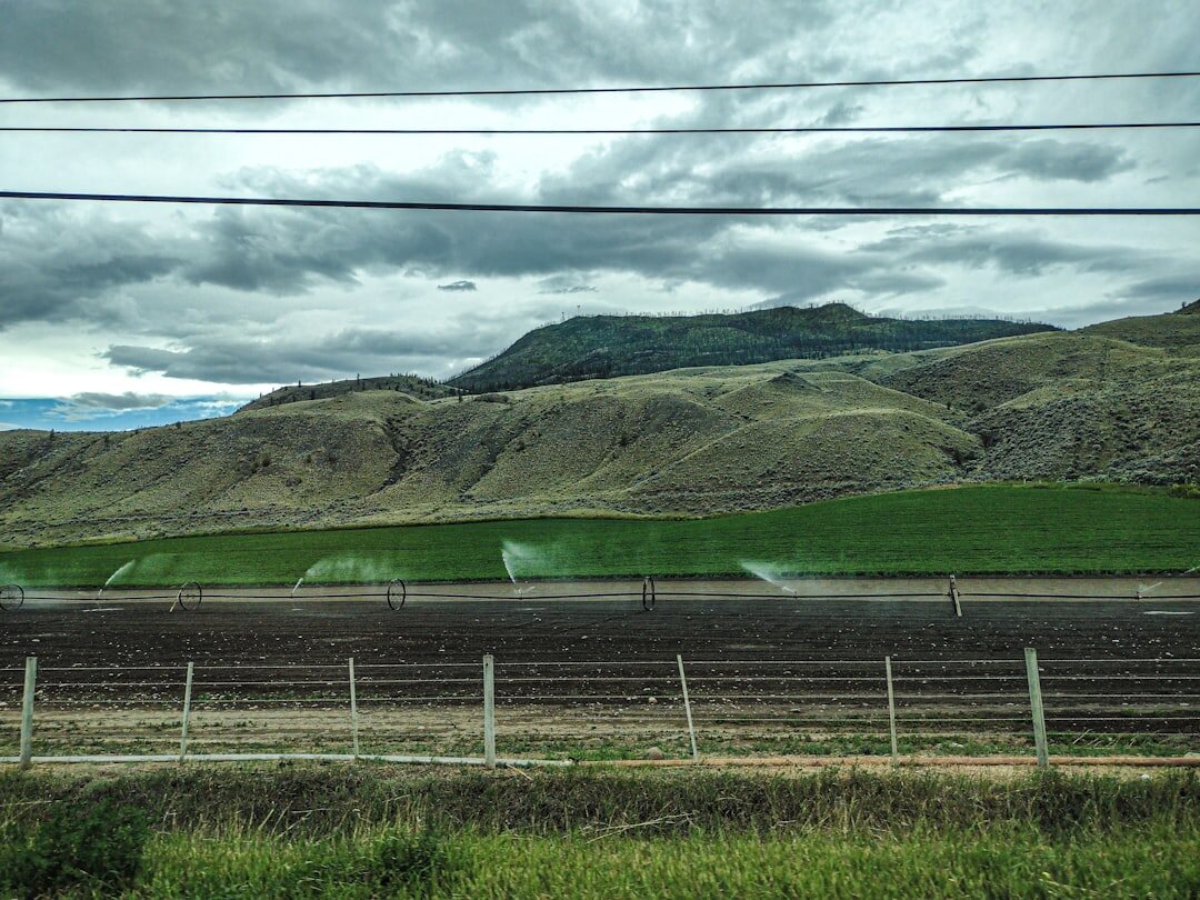 heavy rain on farmland